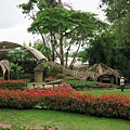 สวนรุกขชาติแม่ฟ้าหลวง Mae Fah Luang Garden皇太后花園