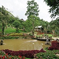 สวนรุกขชาติแม่ฟ้าหลวง Mae Fah Luang Garden皇太后花園