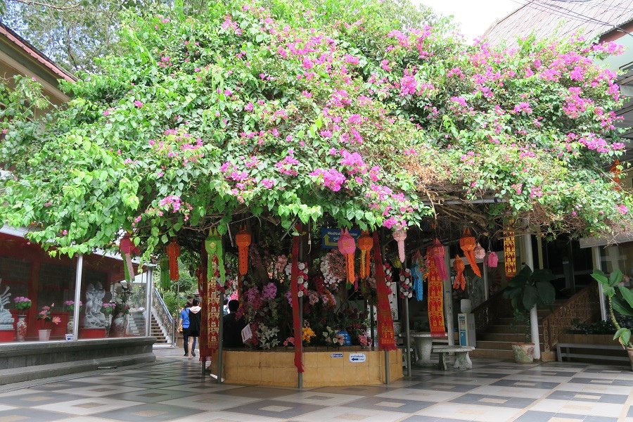 วัดพระธาตุดอยสุเทพราชวรวิหาร Wat Phrathat Doi Suthep素帖寺