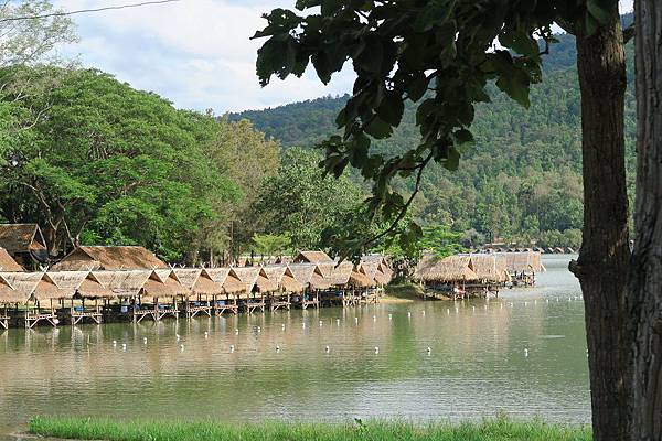 ห้วยตึงเฒ่า huay tueng thao惠登套水庫