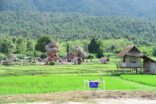 ค่ายพักแรมห้วยตึงเฒ่าHuai Tung Tao Campground 惠登套草垛地景