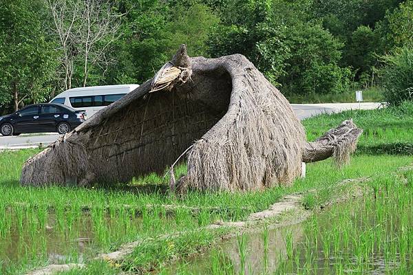 ค่ายพักแรมห้วยตึงเฒ่าHuai Tung Tao Campground 惠登套草垛地景