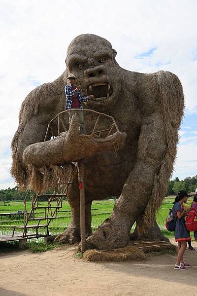 ค่ายพักแรมห้วยตึงเฒ่าHuai Tung Tao Campground 惠登套草垛地景