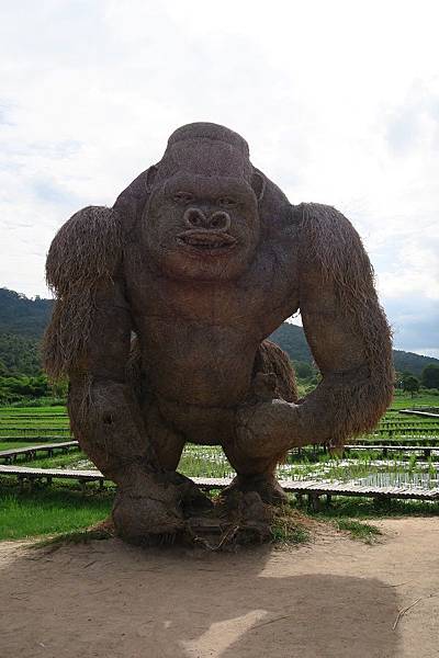 ค่ายพักแรมห้วยตึงเฒ่าHuai Tung Tao Campground 惠登套草垛地景