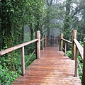 Yod Doi Nature Trail熱帶雨林小徑