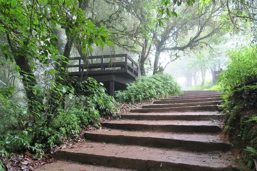 อุทยานแห่งชาติดอยอินทนนท์ Doi Inthanon National Park茵他儂國家公園