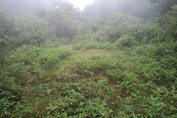 อุทยานแห่งชาติดอยอินทนนท์ Doi Inthanon National Park茵他儂國家公園