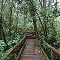 อุทยานแห่งชาติดอยอินทนนท์ Doi Inthanon National Park茵他儂國家公園