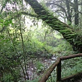 อุทยานแห่งชาติดอยอินทนนท์ Doi Inthanon National Park茵他儂國家公園