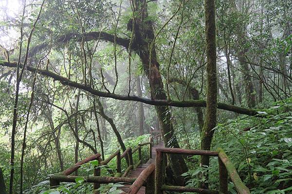 อุทยานแห่งชาติดอยอินทนนท์ Doi Inthanon National Park茵他儂國家公園