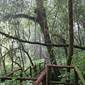 อุทยานแห่งชาติดอยอินทนนท์ Doi Inthanon National Park茵他儂國家公園