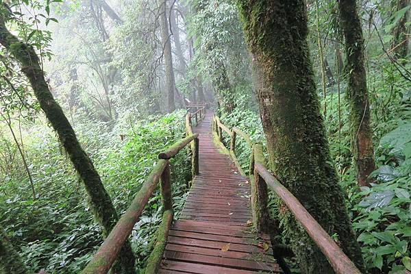 อุทยานแห่งชาติดอยอินทนนท์ Doi Inthanon National Park茵他儂國家公園