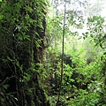 อุทยานแห่งชาติดอยอินทนนท์ Doi Inthanon National Park茵他儂國家公園