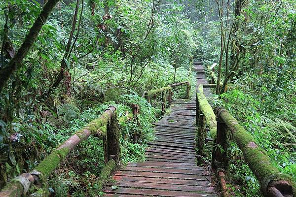 อุทยานแห่งชาติดอยอินทนนท์ Doi Inthanon National Park茵他儂國家公園