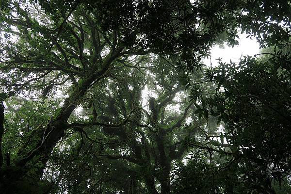 อุทยานแห่งชาติดอยอินทนนท์ Doi Inthanon National Park茵他儂國家公園