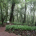 อุทยานแห่งชาติดอยอินทนนท์ Doi Inthanon National Park茵他儂國家公園
