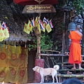 วัดพันเตา Wat Phan Tao盼道寺