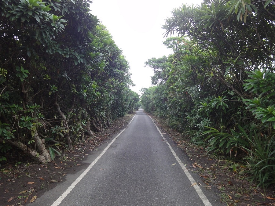 溪北濱海自行車道