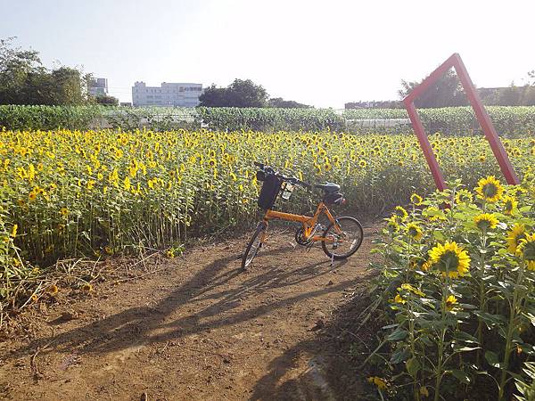 平鎮花彩節