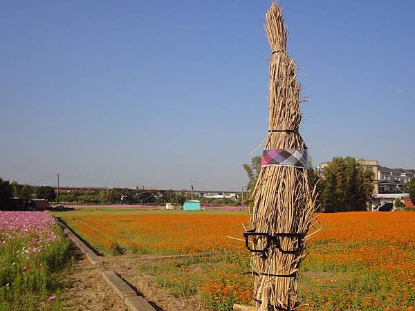 平鎮花彩節