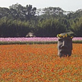 平鎮花彩節