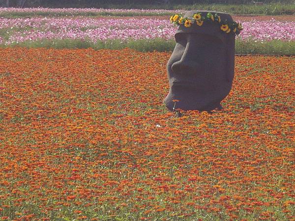 平鎮花彩節