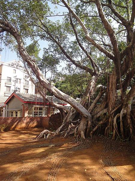 馬祖新村眷村文創園區