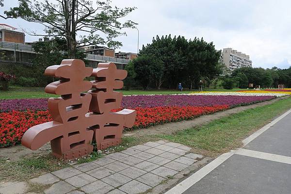 古亭河濱公園花海