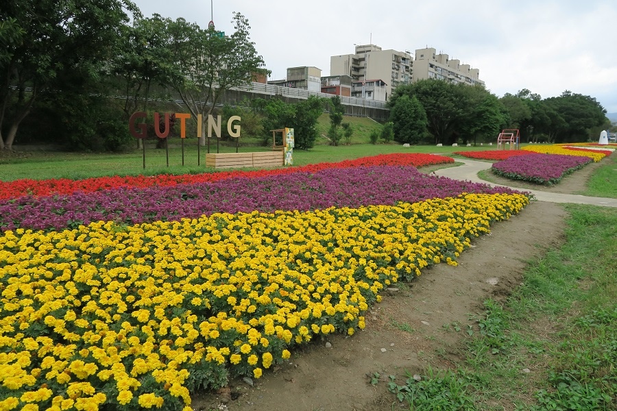 古亭河濱公園花海