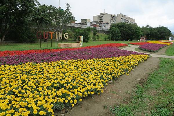 古亭河濱公園花海