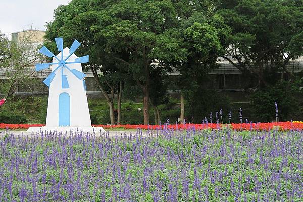 古亭河濱公園花海