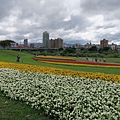 古亭河濱公園花海