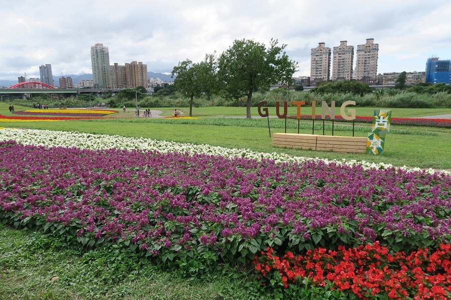 古亭河濱公園花海