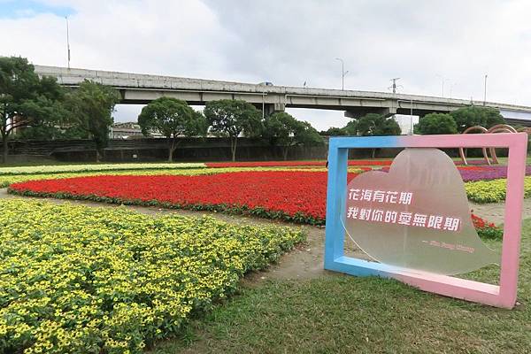 古亭河濱公園花海