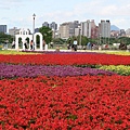 古亭河濱公園花海