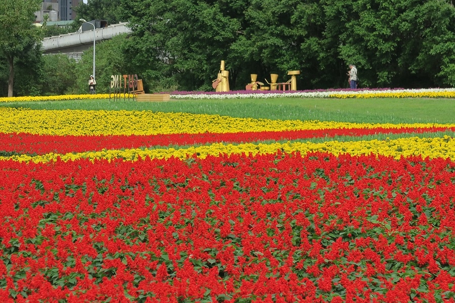 古亭河濱公園花海