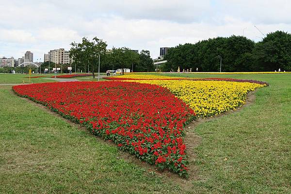 古亭河濱公園花海