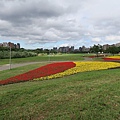 古亭河濱公園花海