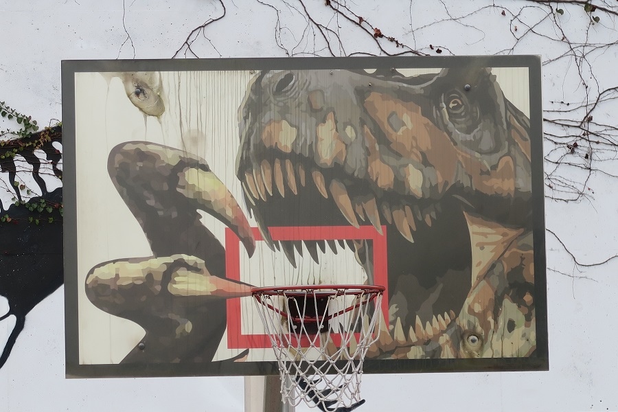 恐龍主題公園籃球場