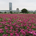 新北大都會公園