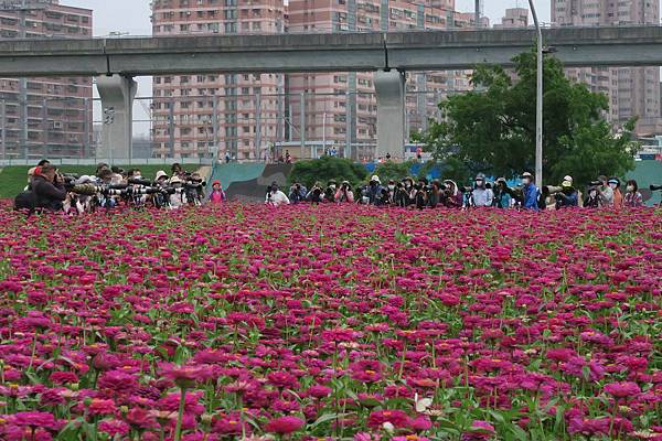 新北大都會公園