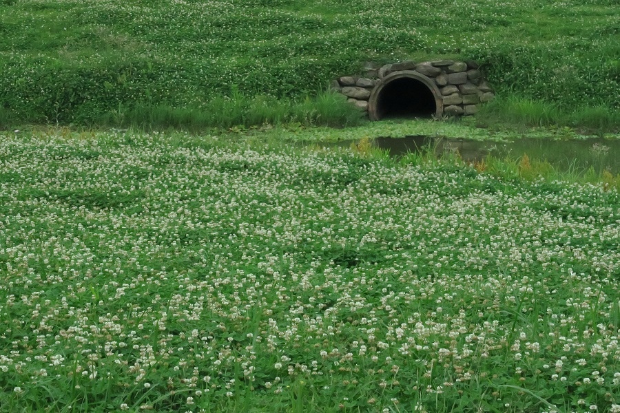 新北大都會公園