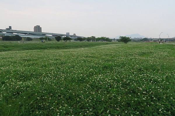 新北大都會公園