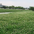 新北大都會公園