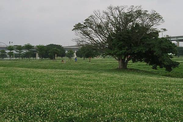 新北大都會公園