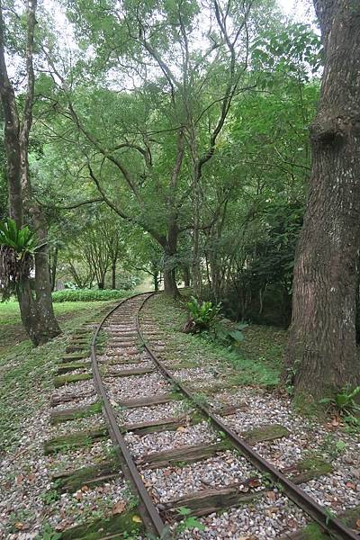 林田山林業文化園區