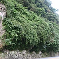 東西橫貫公路牌樓