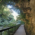 砂卡礑步道