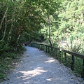 砂卡礑步道