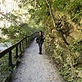 砂卡礑步道